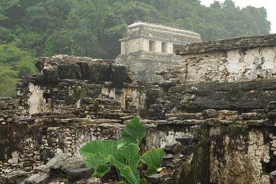 Tour image 8