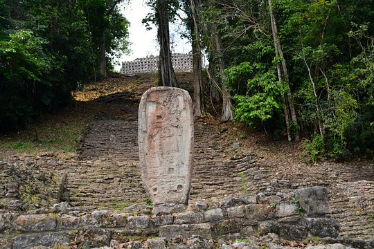 Tour image 5