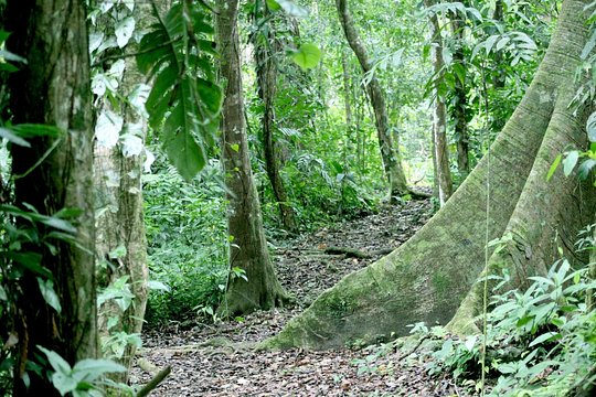 Tour image 6