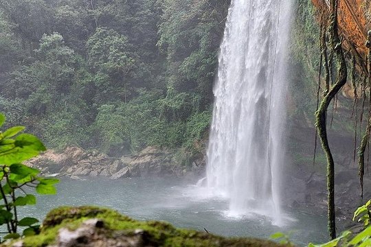 Tour image 10